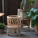 Cesto para Plantas com Suporte