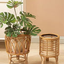 Cesto para Plantas com Suporte