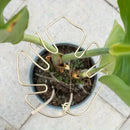 Suporte Suspenso para Vasos