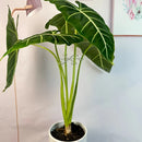Kit 4 Suportes para Plantas
