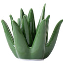 Porta-Joias Cacto Aloe em Cerâmica
