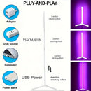 Luminária de Chão LED RGB