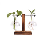 Terrário Hidropônico de Vidro