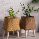 Cachepot em Rattan com Pés de Madeira