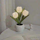 Luminária Tulipas LED