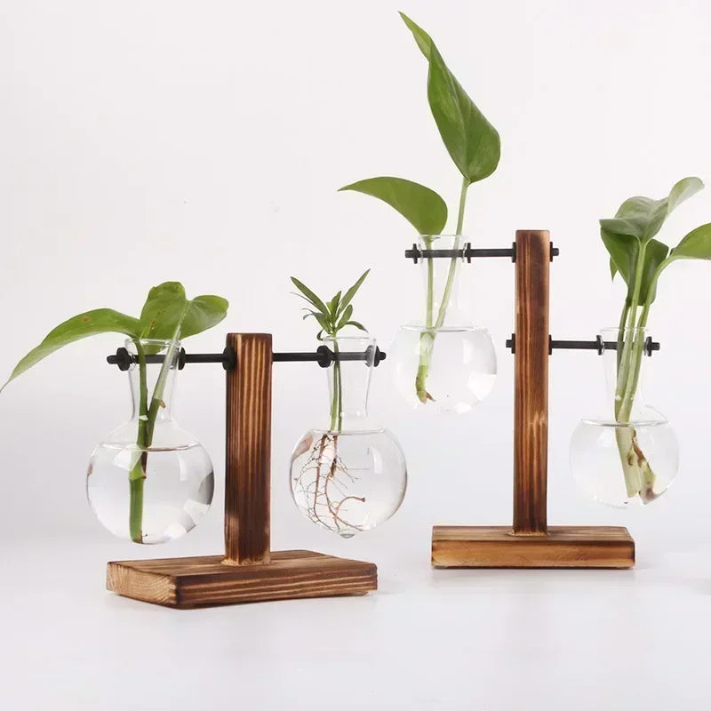 Terrário Hidropônico de Vidro