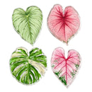 Kit 4 Porta-Copos Folhas Tropicais em Acrílico