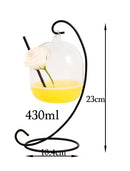 Taça de Cocktail Criativa