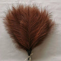 Capim dos Pampas Artificial