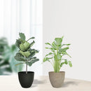 Vaso para Plantas com Acabamento Pedra Fosca