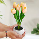 Luminária Tulipas LED