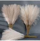 Capim dos Pampas Artificial