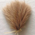 Capim dos Pampas Artificial