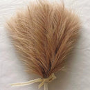 Capim dos Pampas Artificial