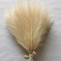 Capim dos Pampas Artificial
