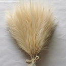 Capim dos Pampas Artificial