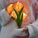 Luminária Tulipas LED