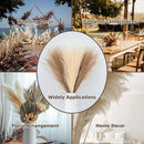 Capim dos Pampas Artificial