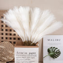 Capim dos Pampas Artificial