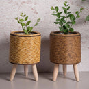 Cachepot em Rattan com Pés de Madeira