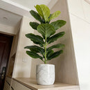 Planta Artificial Ficus Lyrata