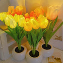 Luminária Tulipas LED