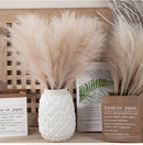 Capim dos Pampas Artificial