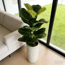 Planta Artificial Ficus Lyrata