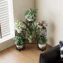 Suporte para Plantas em Metal com Múltiplos Níveis