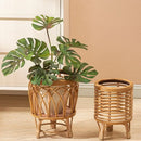 Cesto para Plantas com Suporte
