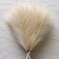 Capim dos Pampas Artificial