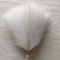 Capim dos Pampas Artificial