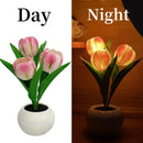Luminária Tulipas LED