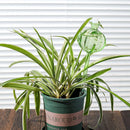 Irrigador Automático para Plantas