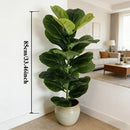 Planta Artificial Ficus Lyrata