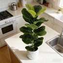 Planta Artificial Ficus Lyrata