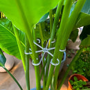Kit 4 Suportes para Plantas