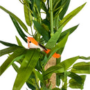 Planta Artificial Bambu Mossô da Sorte