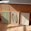 Kit 3 Quadros Decorativos Folhas Verdes